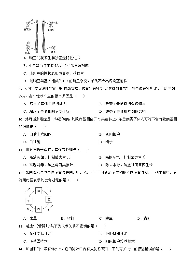 江苏省盐城市大丰区2023-2024学年八年级下学期4月期中生物试题+02