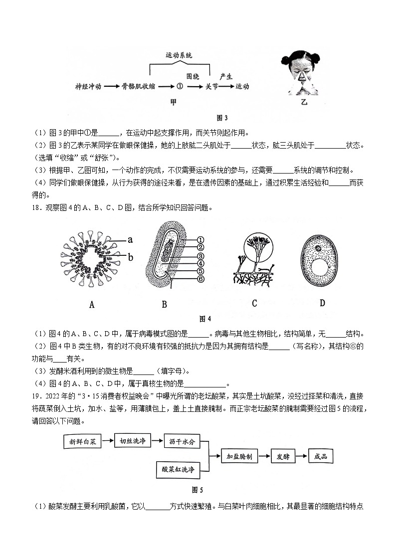 广西百色市2023-2024学年八年级上学期期末生物试题(无答案)03