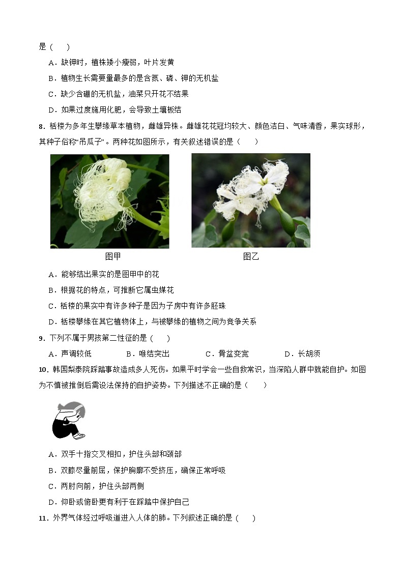 湖南省怀化市新晃侗族自治县2023-2024学年八年级下学期4月份期中考试生物试题+02