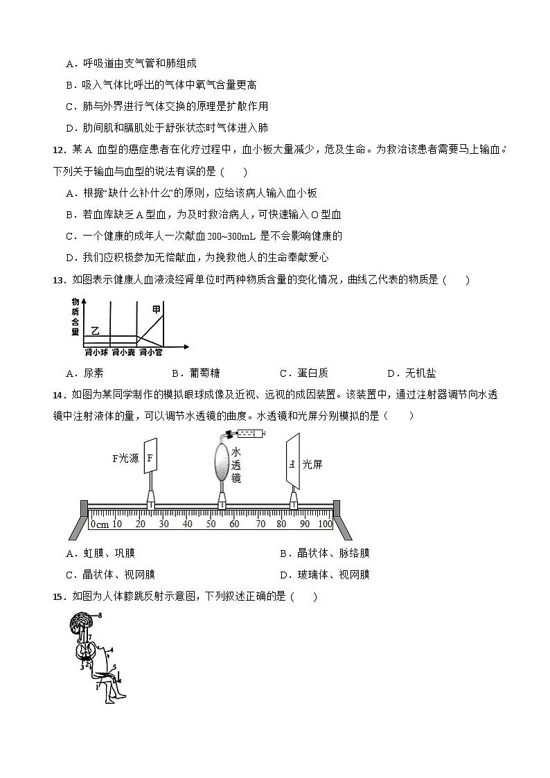 湖南省怀化市新晃侗族自治县2023-2024学年八年级下学期4月份期中考试生物试题+03
