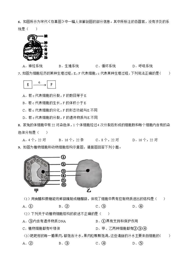 江苏省泰州市泰兴市2023-2024学年七年级下学期4月期中生物试题+02