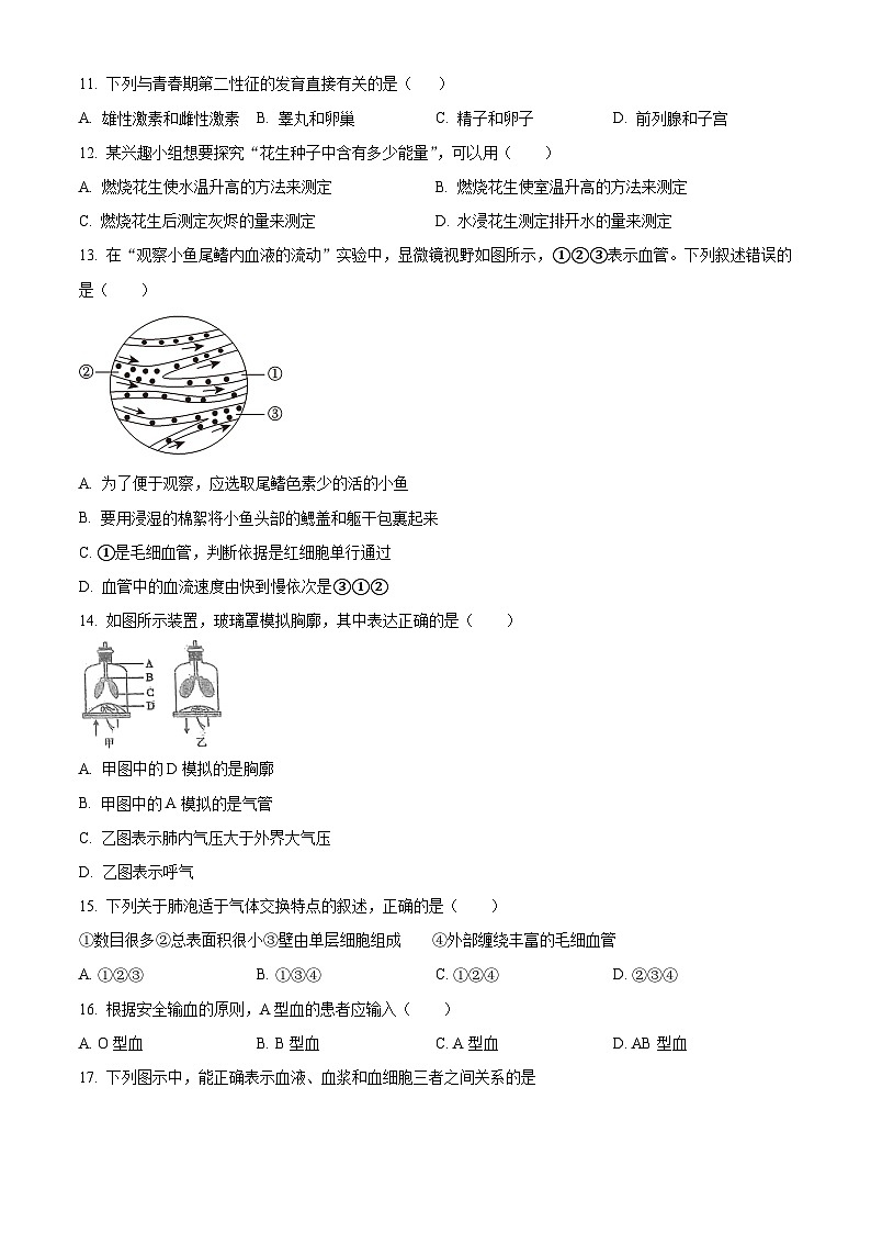 福建省泉州市永春县永春第一中学2023-2024学年七年级下学期期中生物试题（原卷版+解析版）02