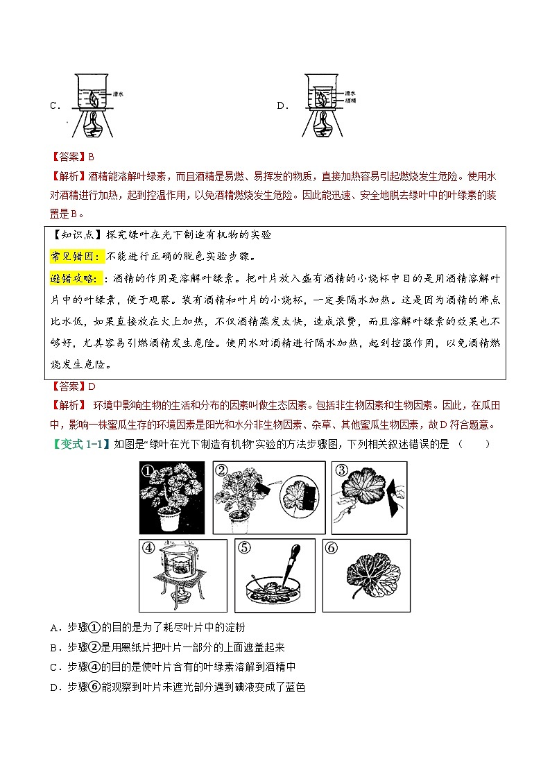备战2024年中考生物考试易错题-易错点05 绿色植物的三大生理作用-备战2024年中考生物考试易错题(全国通用)(解析版)第3页
