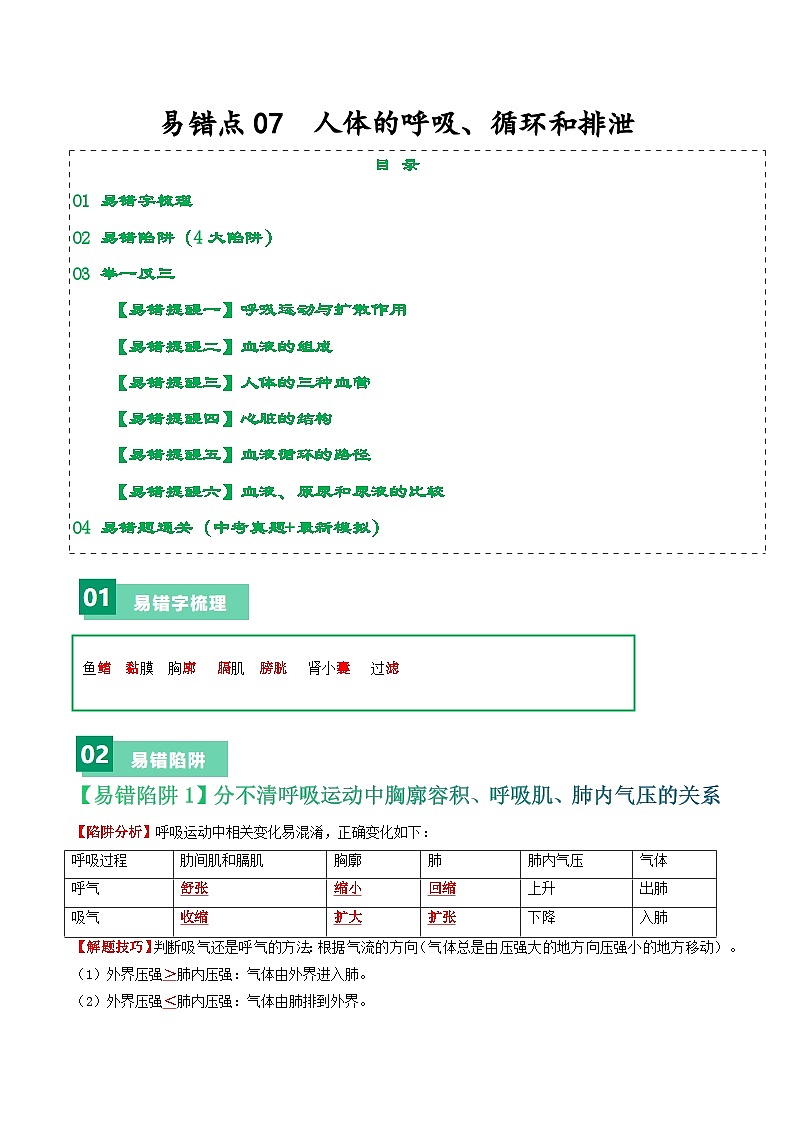 备战2024年中考生物考试易错题-易错点07 人的呼吸、循环和排泄-备战2024年中考生物考试易错题(全国通用)(解析版)第1页