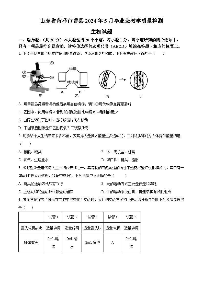 2024年山东省菏泽市曹县九年级中考二模生物试题（原卷版+解析版）01