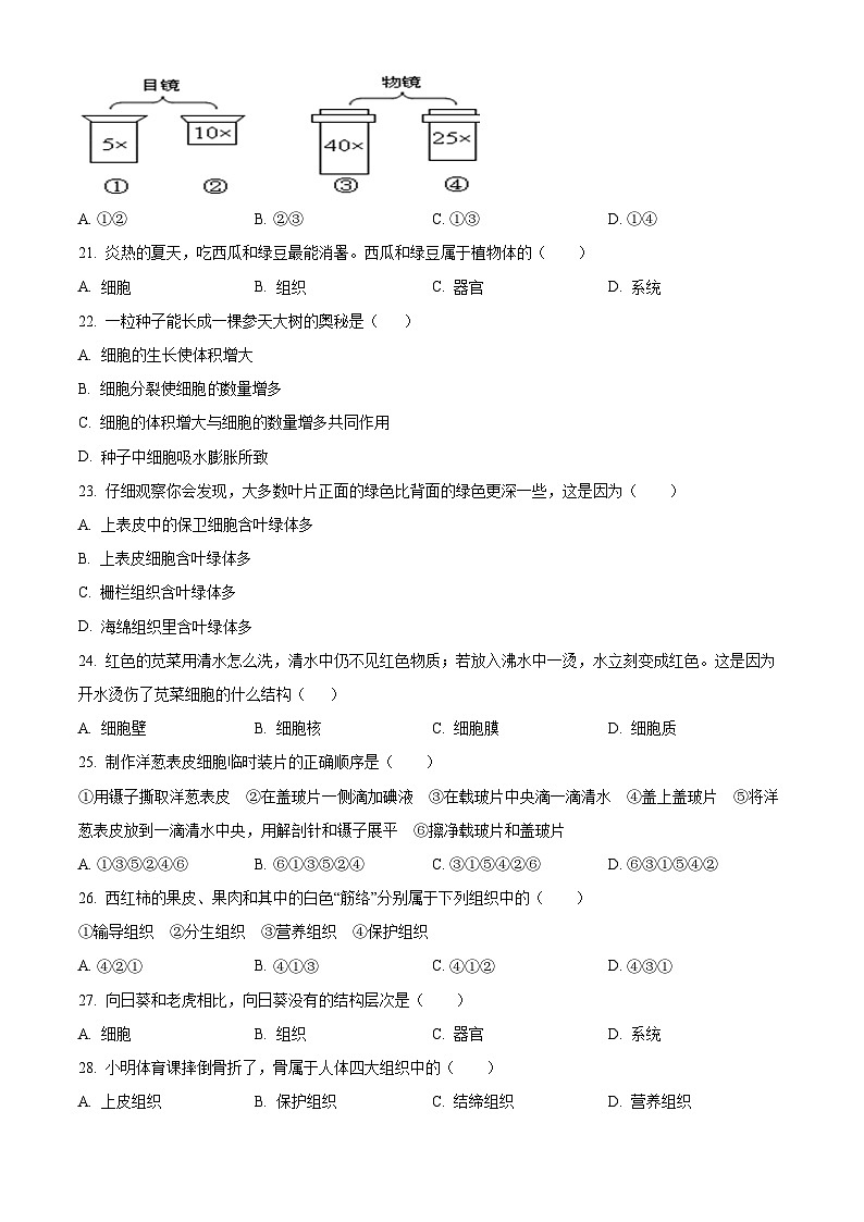 广东省清远市连山县2023-2024学年七年级上学期期中生物试题（原卷版+解析版）03
