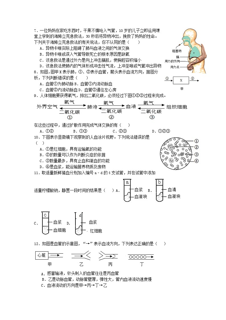 四川省广安友谊中学2023-2024学年七年级下学期期中生物试题02