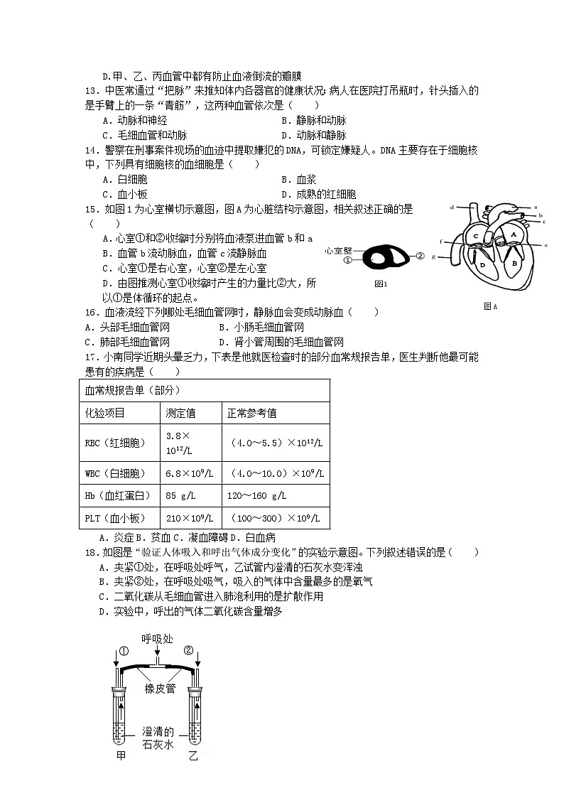 四川省广安友谊中学2023-2024学年七年级下学期期中生物试题03