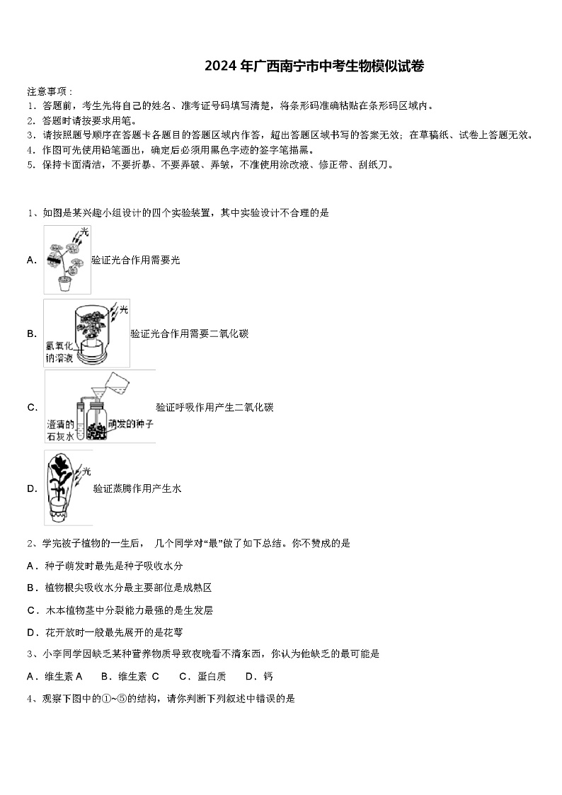 2024 年广西南宁市中考生物模似试卷（解析版）01