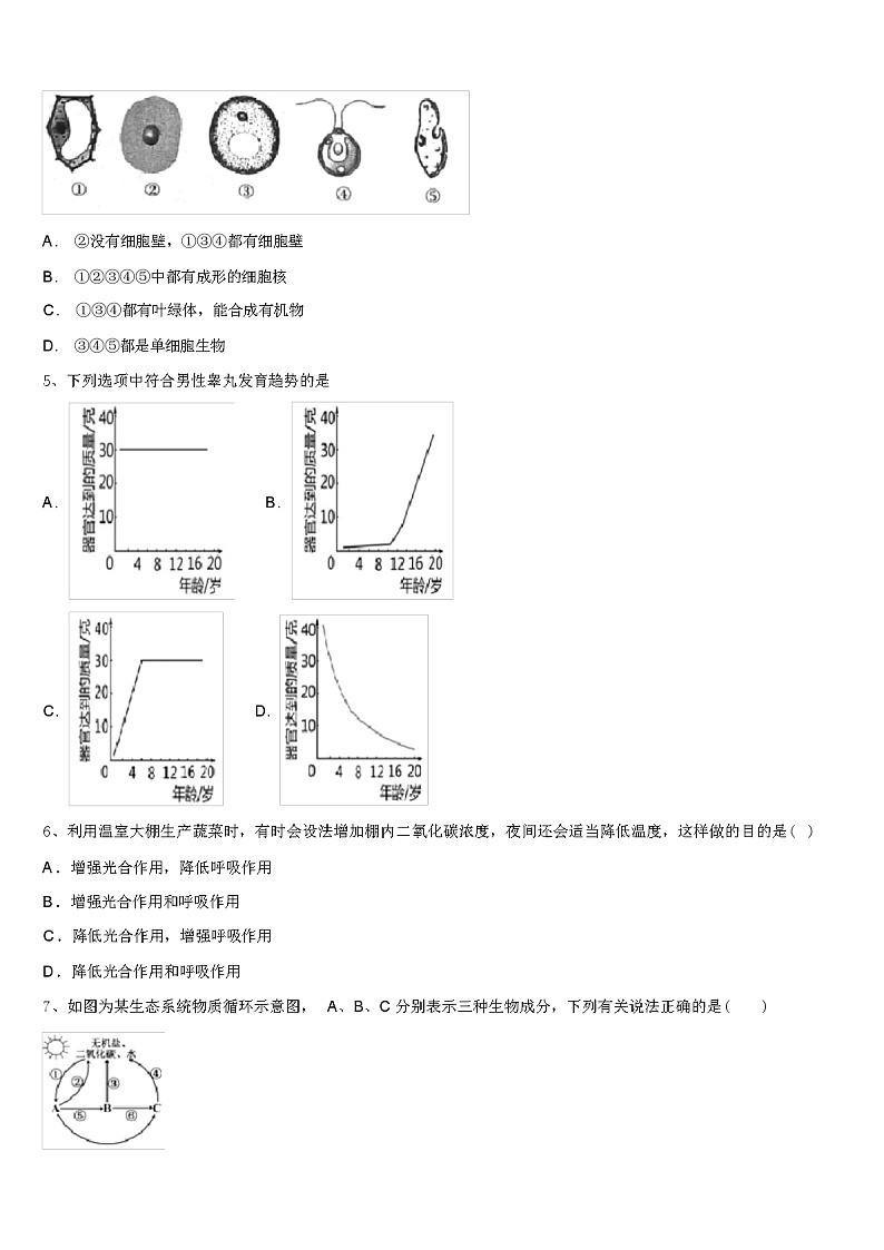 2024 年广西南宁市中考生物模似试卷（解析版）02
