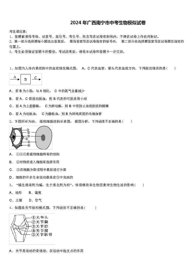 2024 年广西南宁市中考生物模似试卷（解析版）01