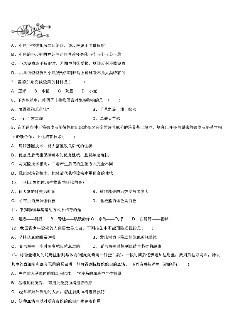 2024 年广西中考生物模似试卷（解析版）02