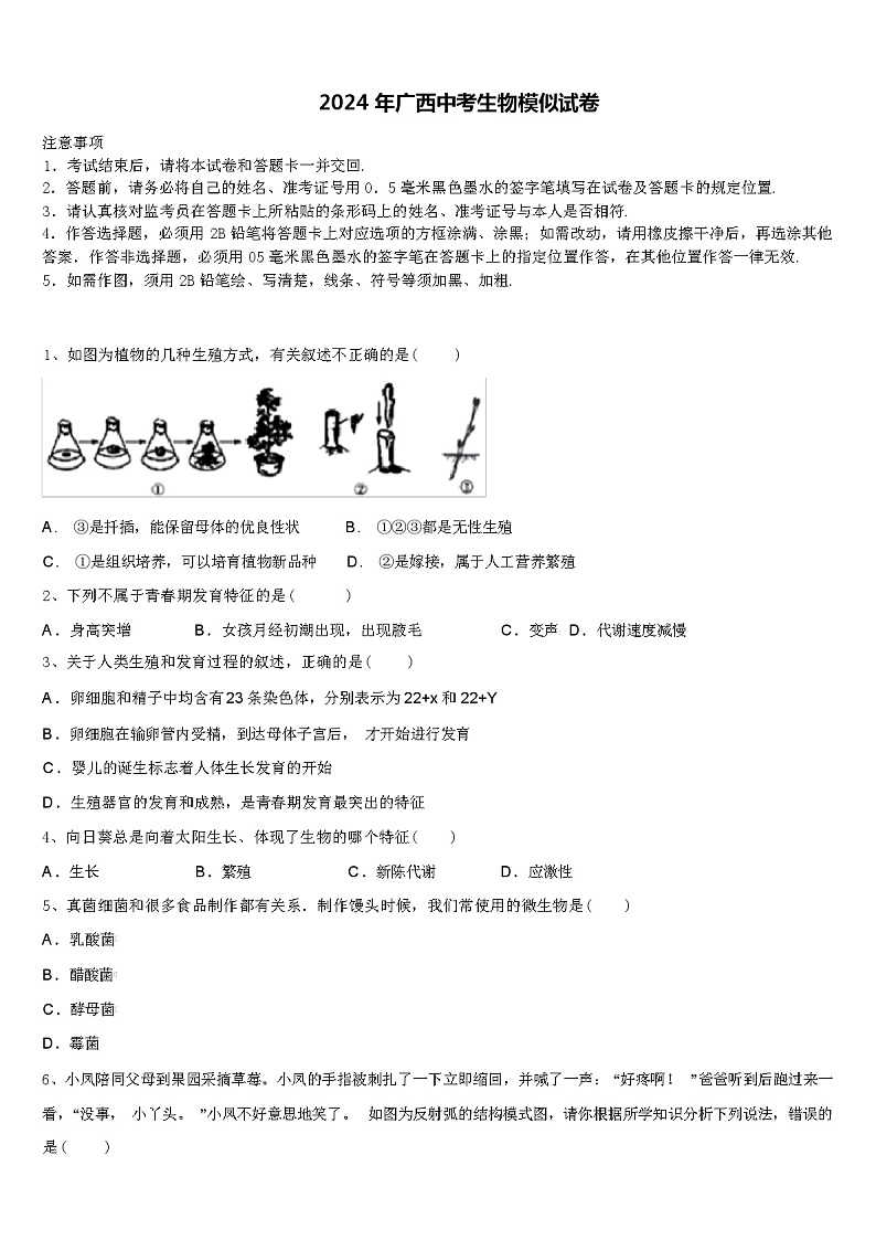 2024 年广西中考生物模似试卷（解析版）第1页