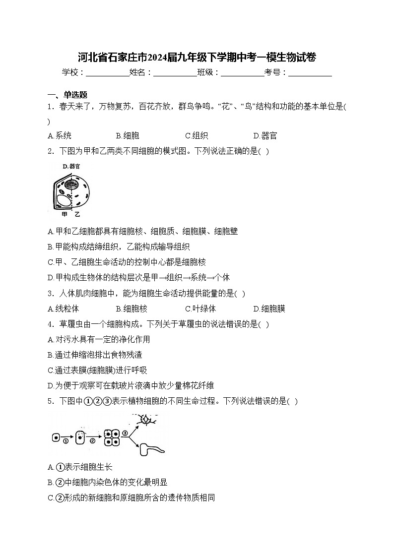 河北省石家庄市2024届九年级下学期中考一模生物试卷(含答案)01