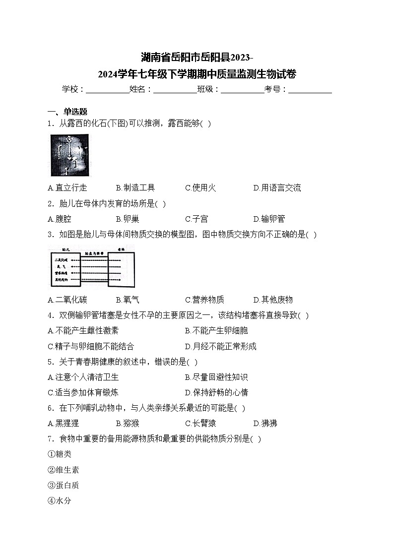 湖南省岳阳市岳阳县2023-2024学年七年级下学期期中质量监测生物试卷(含答案)第1页
