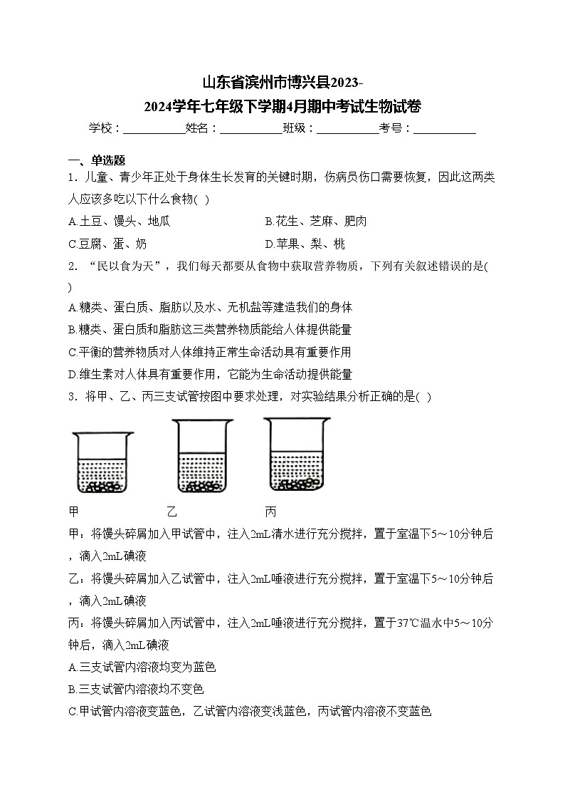 山东省滨州市博兴县2023-2024学年七年级下学期4月期中考试生物试卷(含答案)第1页