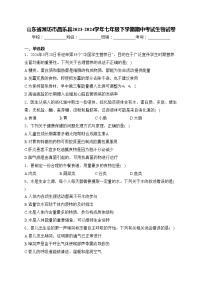 山东省潍坊市昌乐县2023-2024学年七年级下学期期中考试生物试卷(含答案)