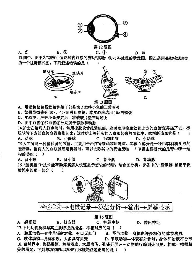 广东省东莞外国语学校寮步镇外国语学校2023-2024学年八年级下学期5月期中生物试题第3页