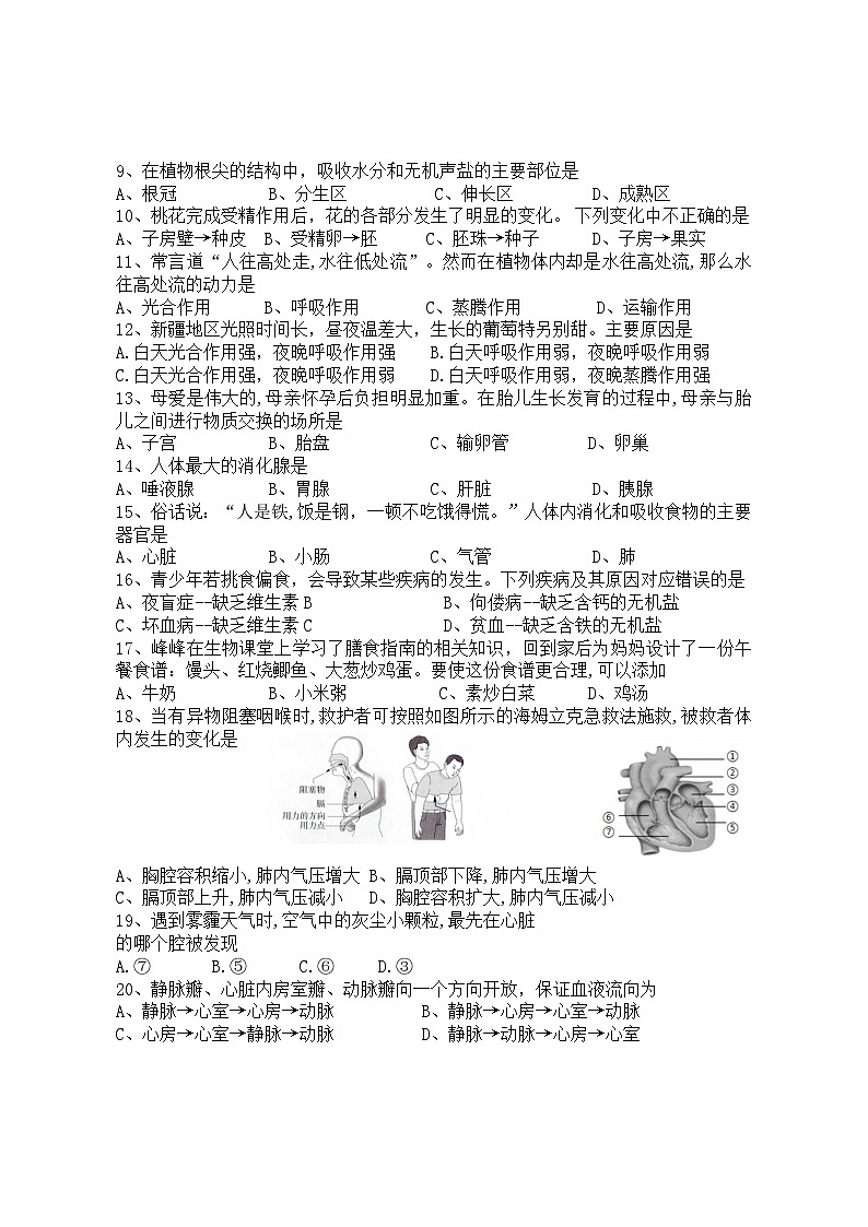 2024年黑龙江省双鸭山市集贤县初中学业水平模拟考试生物试题02