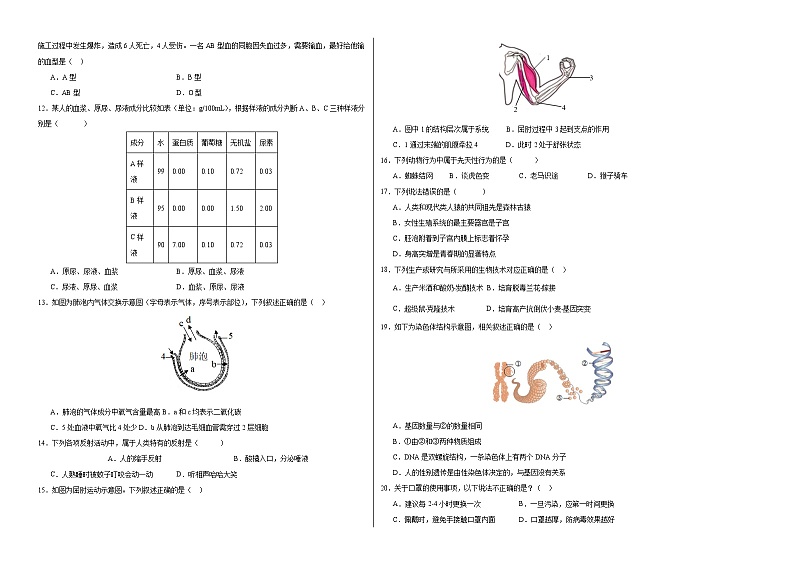 2024年中考考前最后一套押题卷：生物（全国通用）（考试版A3）02