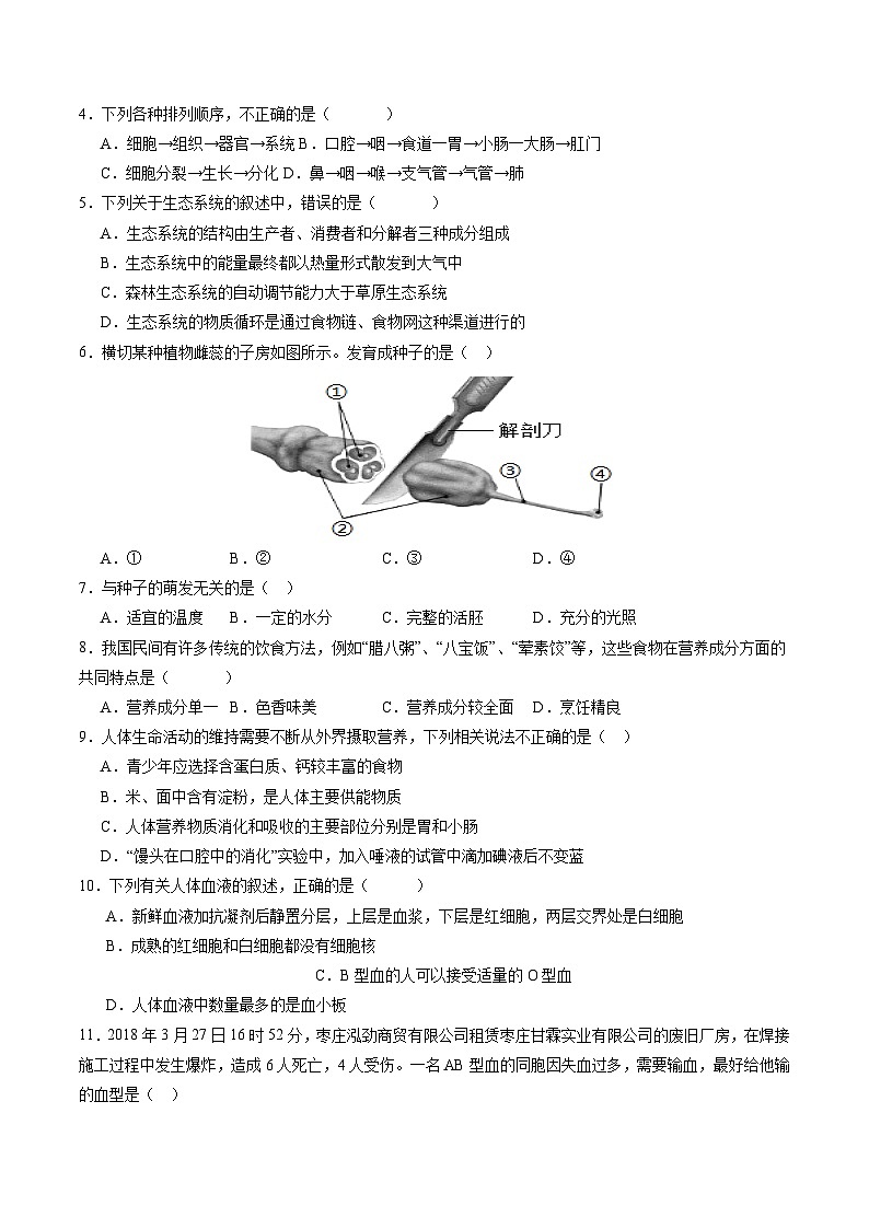 2024年中考考前最后一套押题卷：生物（全国通用）（考试版A4）02