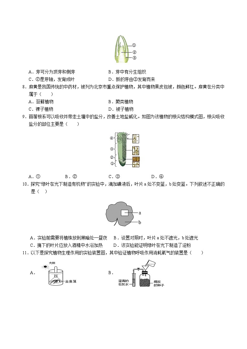 2024年中考考前最后一套押题卷：生物（泰州卷）（考试版A4）02