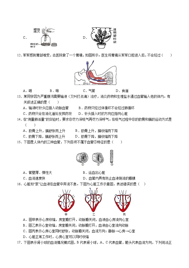 2024年中考考前最后一套押题卷：生物（泰州卷）（考试版A4）03