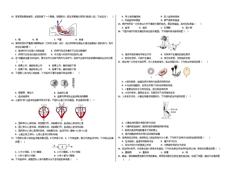 2024年中考考前最后一套押题卷：生物（泰州卷）（考试版A3）第2页