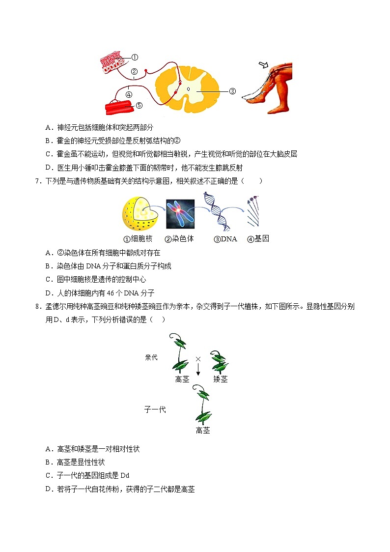 2024年中考考前最后一套押题卷：生物（徐州卷）（考试版A4）03