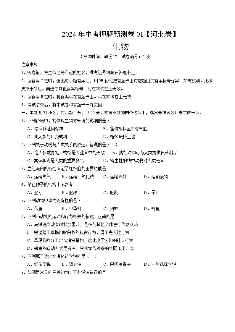 2024年中考押题预测卷（河北卷01）生物（考试版）A401
