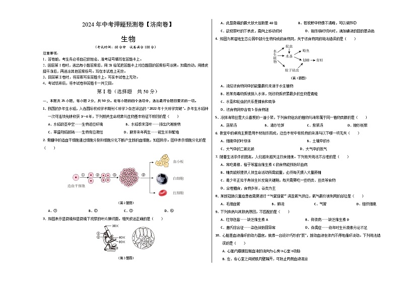 2024年中考押题预测卷（济南卷）生物（考试版）A301