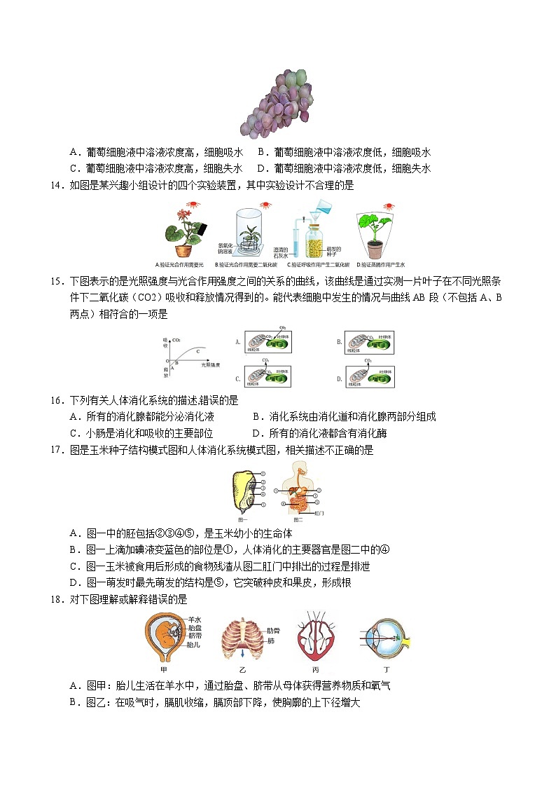2024年中考押题预测卷（南京卷）生物（考试版）A4第2页