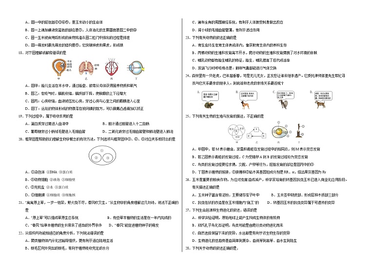2024年中考押题预测卷（南京卷）生物（考试版）A3第2页