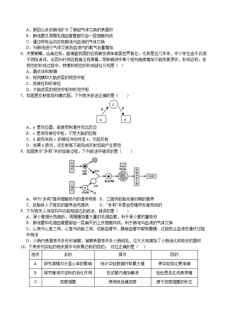 2024年中考押题预测卷（徐州卷）生物（考试版A4）02