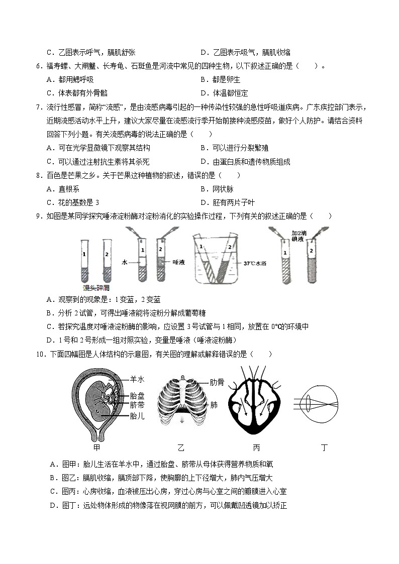 2024年中考押题预测卷01（辽宁卷）生物（考试版A4）02