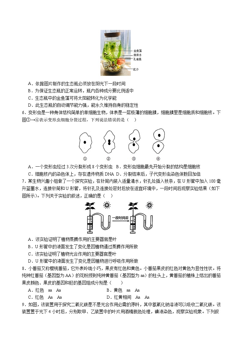 2024年中考押题预测卷02（北京卷）-生物（考试版A4）02