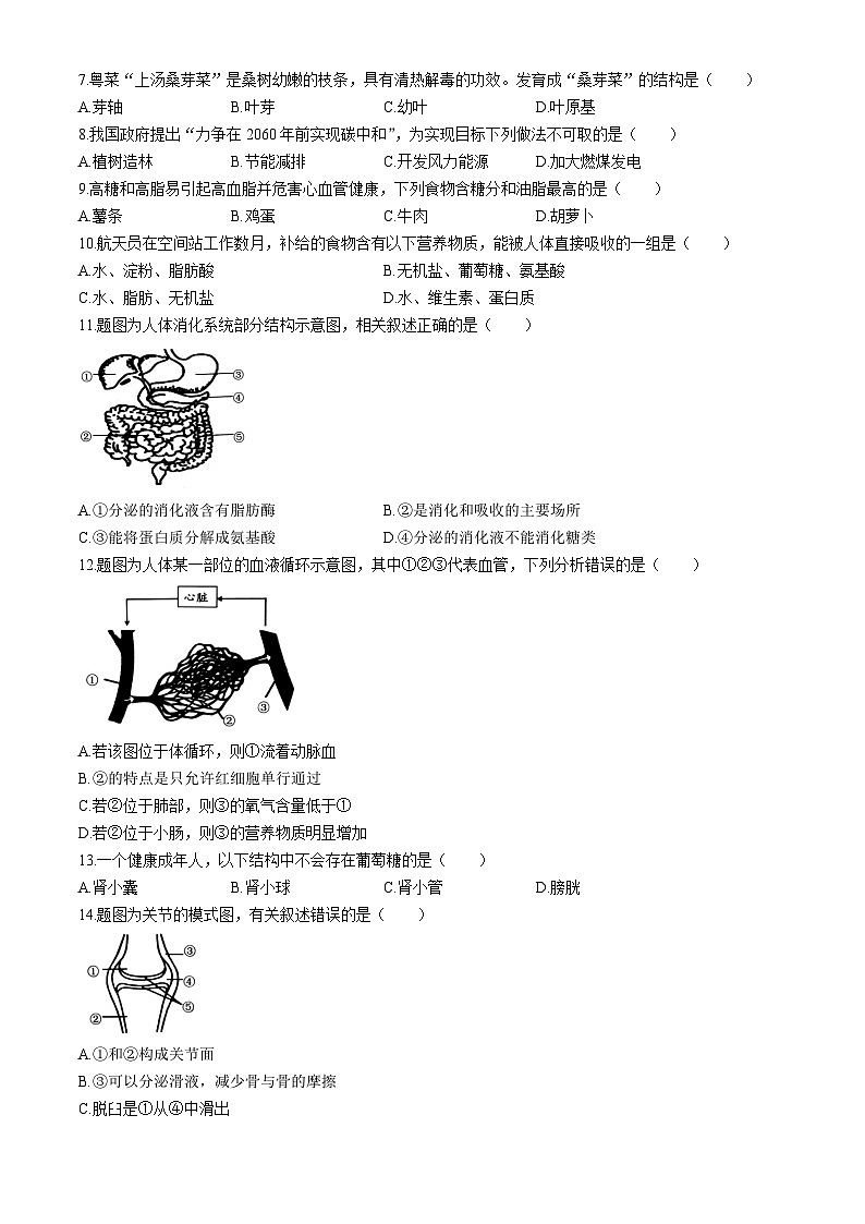 2024年广东省清远市清新区中考一模生物试题02