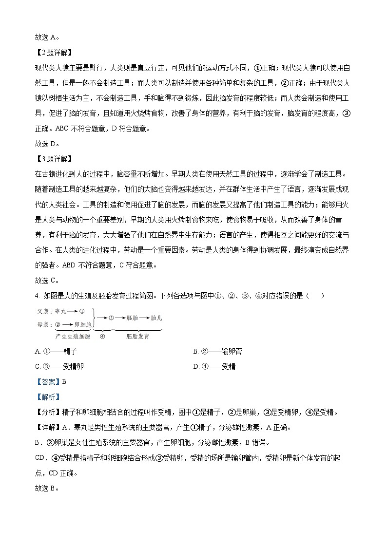 广东省深圳市龙岗区2023-2024学年七年级下学期期中生物试题（解析版）第2页