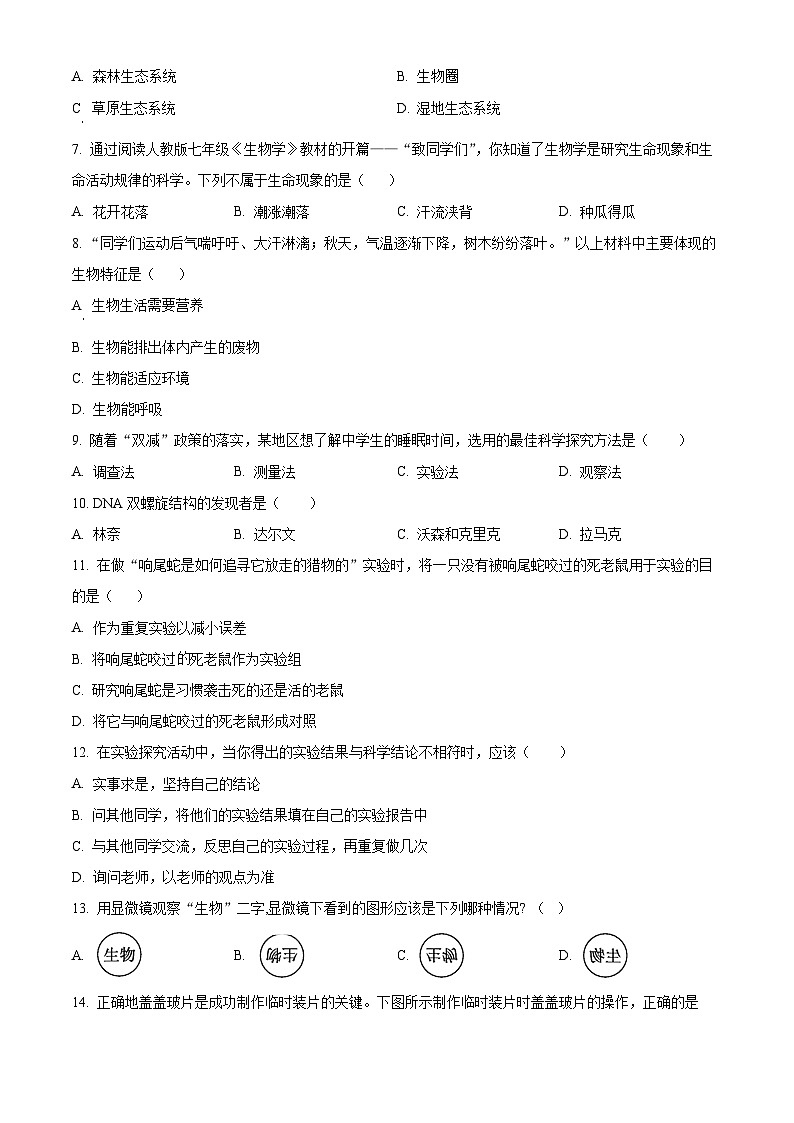 广东省揭阳市普宁市城东中学2023-2024学年七年级上学期期中生物试题（原卷版+解析版）02