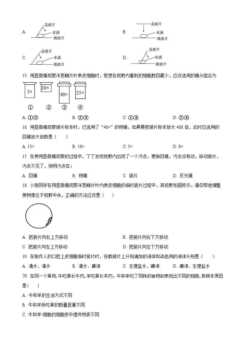 广东省揭阳市普宁市城东中学2023-2024学年七年级上学期期中生物试题（原卷版+解析版）03