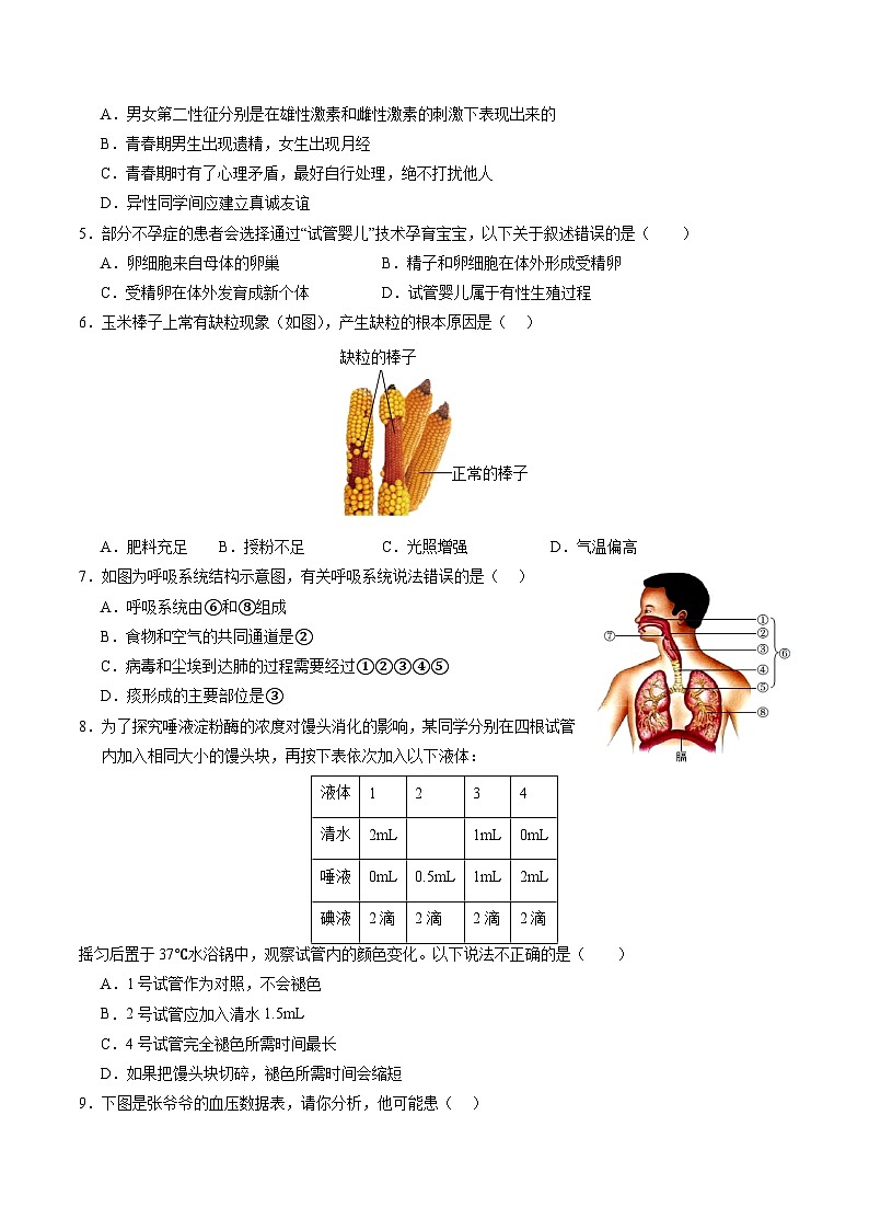 2024年中考考前最后一套押题卷：生物（广州卷）（考试版）A402