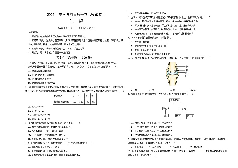 2024年中考考前最后一套押题卷：生物（安徽卷）_生物（安徽卷）（考试版A3）01