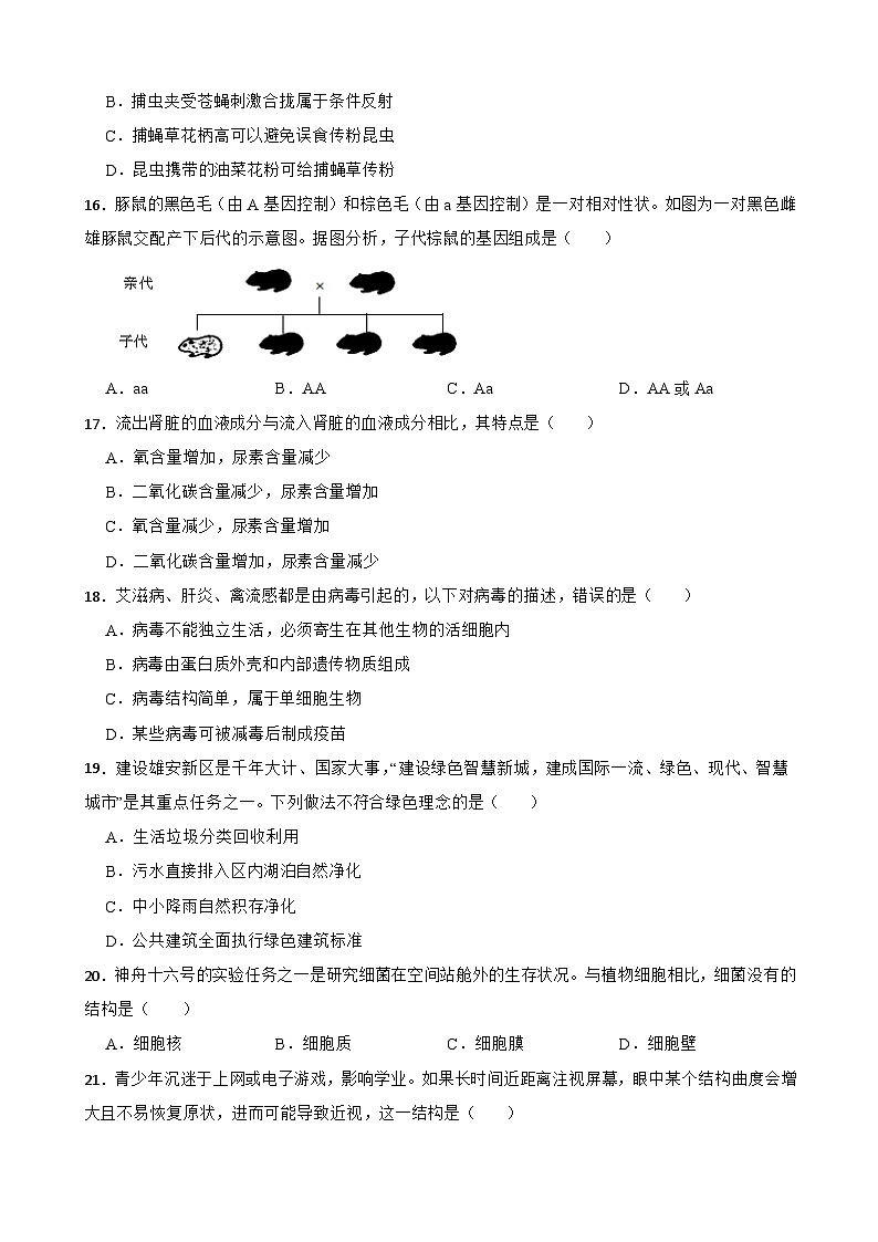 2024年广东省初中学业水平考试生物学仿真模拟卷（六）03