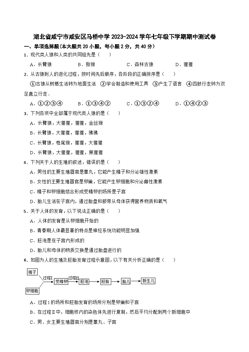 湖北省咸宁市咸安区马桥中学2023-2024学年七年级下学期期中考试生物测试卷01
