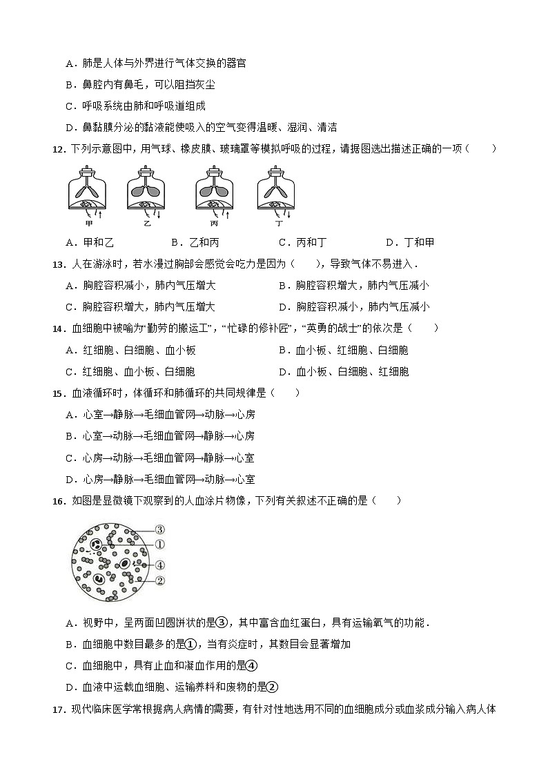 湖北省咸宁市咸安区马桥中学2023-2024学年七年级下学期期中考试生物测试卷03