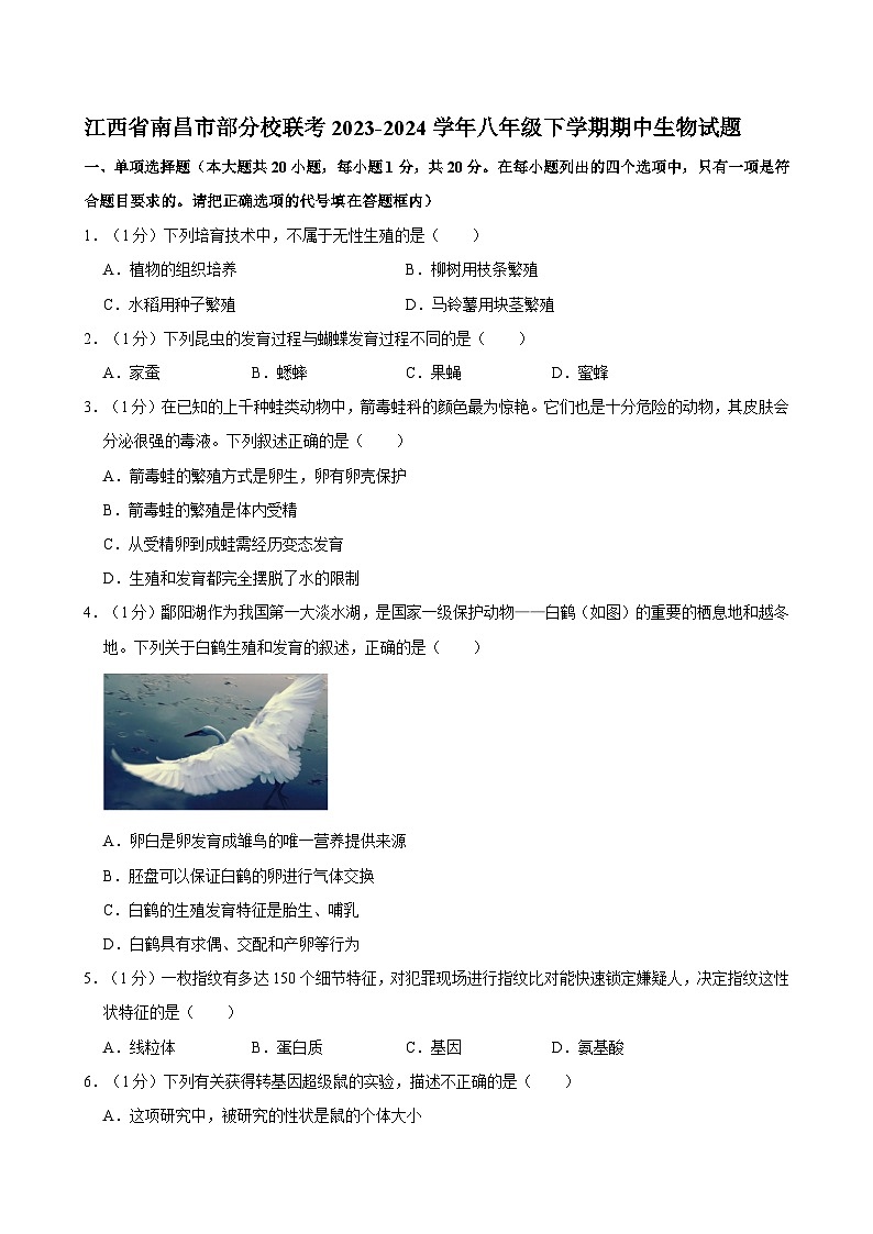 江西省南昌市部分校联考2023-2024学年八年级下学期期中考试生物试题01