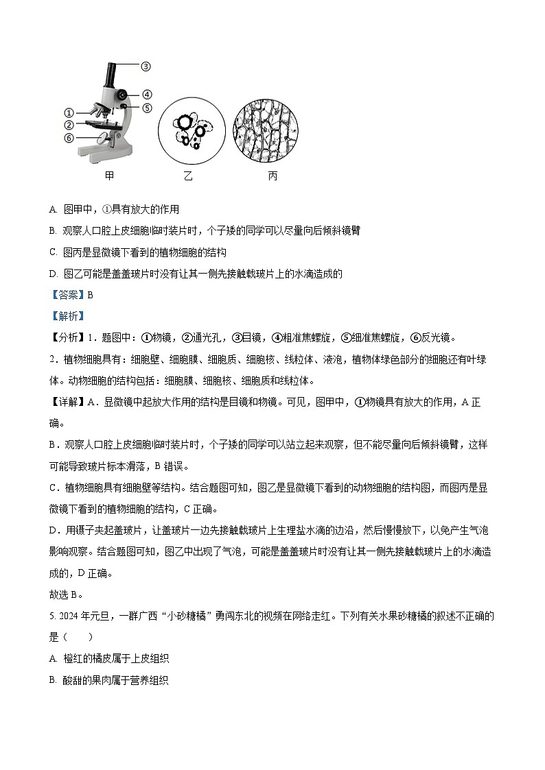 河南师范大学附属中学集团校2023-2024学年八年级下学期期中生物试题（原卷版+解析版）03