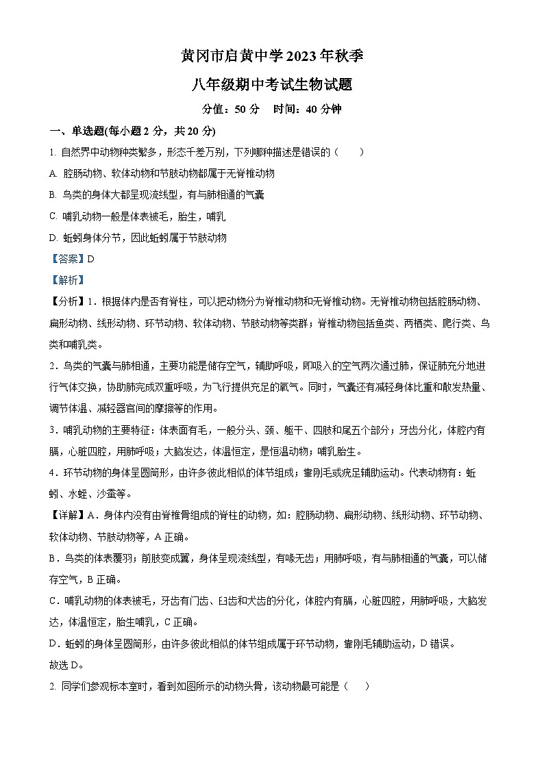湖北省黄冈市启黄中学2023-2024学年八年级上学期期中生物试题（原卷版+解析版）01
