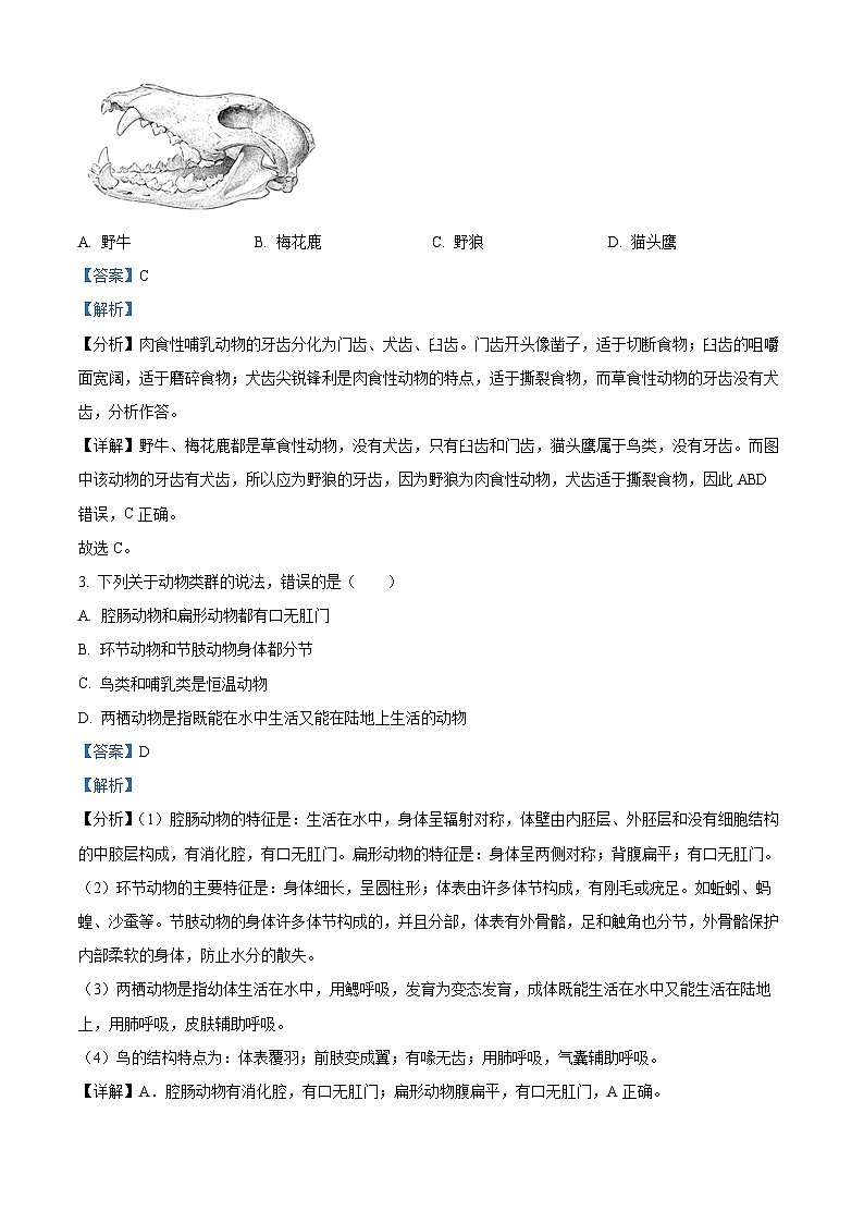 湖北省黄冈市启黄中学2023-2024学年八年级上学期期中生物试题（原卷版+解析版）02