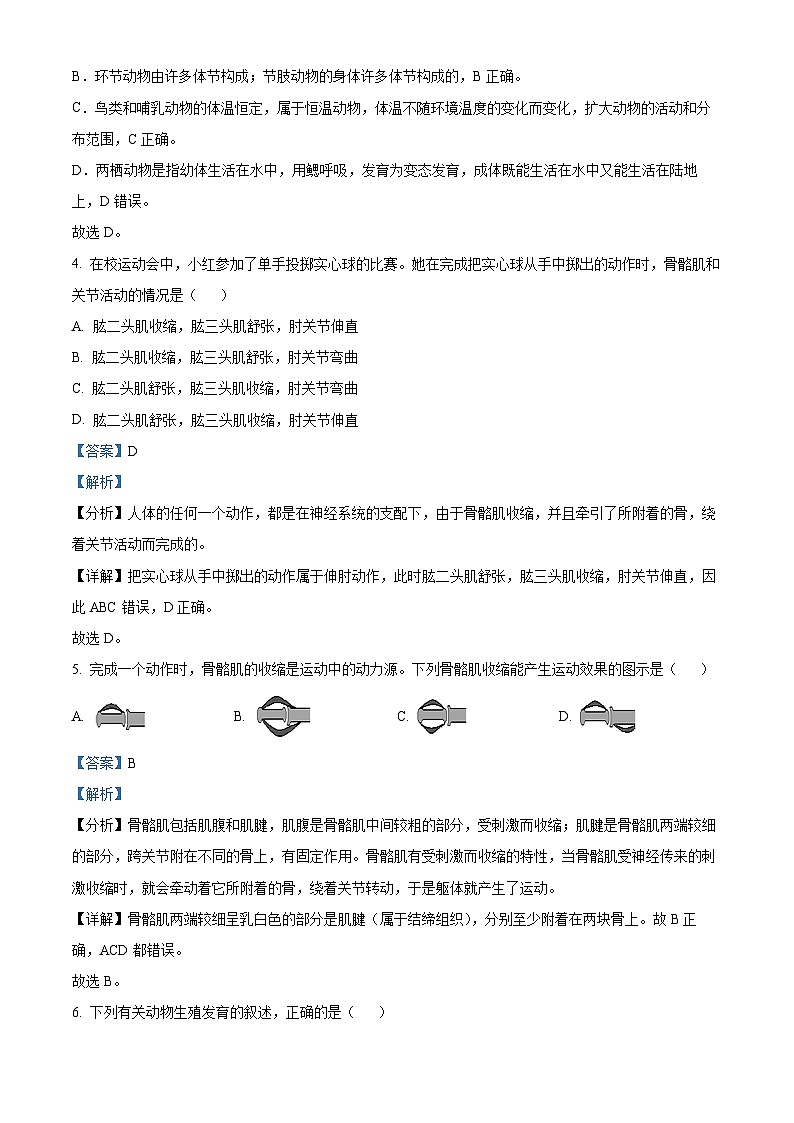 湖北省黄冈市启黄中学2023-2024学年八年级上学期期中生物试题（原卷版+解析版）03